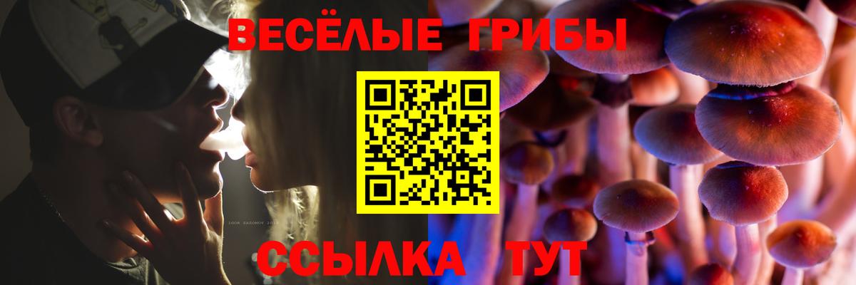 Галлюциногенные грибы Psilocybine cubensis  Вход с VPN  Орёл  Галлюциногенные грибы Psilocybe 